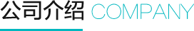 公司簡介