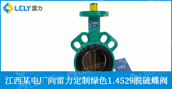 雷力為江西某電廠定制綠色1.4529脫硫?qū)Ｓ玫y