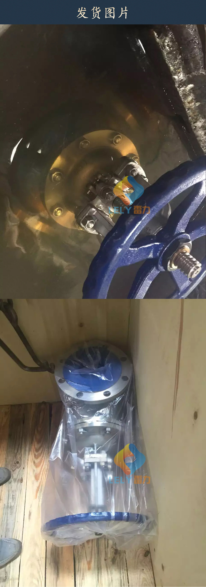 Z41W-16P不銹鋼閘閥