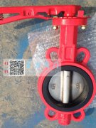 雷力不銹鋼蝶閥