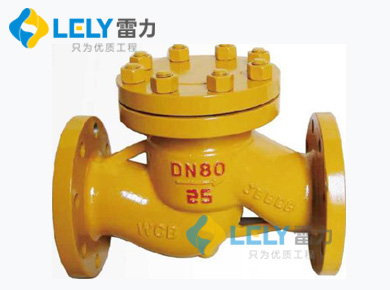 雷力氨用止回閥.jpg 雷力氨用止回閥.jpg