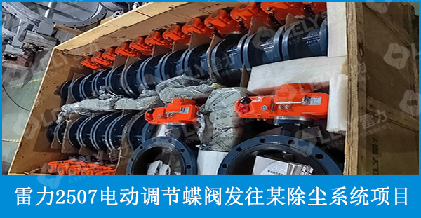 雷力電動調(diào)節(jié)蝶閥用于四川某工業(yè)硅行業(yè)除塵系統(tǒng)項目