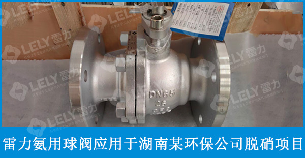 雷力氨用球閥助力湖南某環(huán)保公司脫硝項(xiàng)目穩(wěn)定運(yùn)行